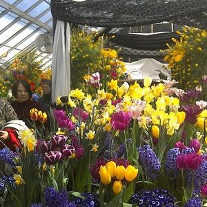 Meet your Posher, Laur